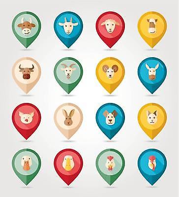 EPS 해외이미지 말풍선 여러마리 일러스트 염소 오리 사람없음 세트 농장 고양이 토끼 닭 양 말_동물 돼지 소 강아지 황소 거위 당나귀 해외일러스트 다수 농업 포유류 조류 반려동물 개 파일형식 벡터 이미지허브