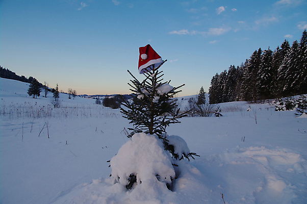 포토 JPG 해외이미지 나무 모자 전통 옷 계절 컨셉 크리스마스 겨울 일러스트 자연 추상 휴가 선물 미술 풍경 사람없음 야외 장식 빨간색 산타클로스 머리 추위 코트 흰색 축하 12월 천 연도 기회 전나무 보닛 양모 캡모자 특별함 클라우스 해외포토 식물 모자_잡화 잡화 기념일 컬러 무늬 자동차 문화예술 신체부위 외투 직물 날짜 생태계 파일형식 이미지허브