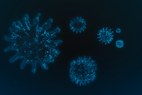 포토 JPG 해외이미지 동물 모래 백그라운드 절지류 자연 사람없음 야외 가로 컬러풀 갈색 봄 사막 닫기 위험 작음 큼 전갈 묘사 꼬리 육식동물 전갈자리 헝가리 찌르기 동물상 해외포토 계절 컬러 컨셉 모션 조형물 별자리 크기 생태계 동유럽 파일형식 이미지허브