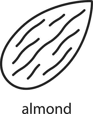 EPS 해외이미지 클립아트 식물 디자인 선 음식 컨셉 잎 과일 일러스트 재료 요리 미술 씨앗 픽토그램 웹 견과류 나뭇가지 양념 조미료 플랫 맛 심볼 향신료 사인 그림 유기농 향기 윤곽 아로마 아몬드 향료 고립 얇은 개암 해외일러스트 나무 웰빙 열매 인터넷 문화예술 냄새 향미료 파일형식 벡터 이미지허브