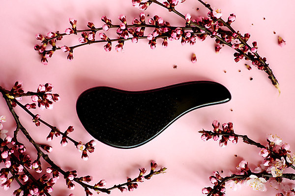 포토 JPG 해외이미지 식물 디자인 배너 계절 공원 꽃 분홍색 백그라운드 꽃무늬 신체 자연 사람없음 야외 초록색 유행 스파 목욕 봄 벚꽃 나뭇가지 신선 개화 크림 피부관리 로션 내추럴 고립 바디케어 파스텔톤 플랫레이 카피스페이스 해외포토 나무 공공시설 컬러 무늬 뷰티 청결 화장품 공백 플랫 생태계 파일형식 이미지허브