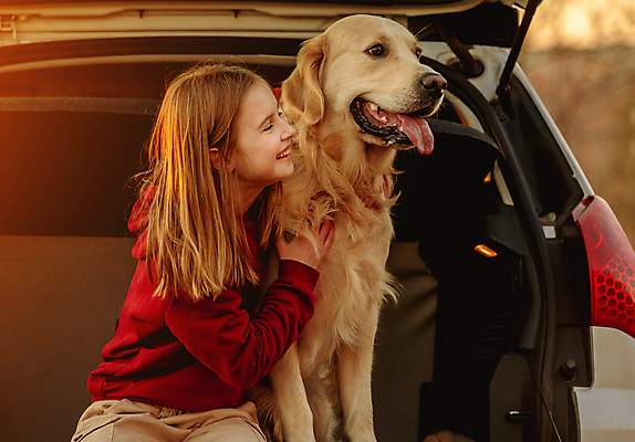 포토 JPG 해외이미지 동물 백인 라이프스타일 응시 여자 딸 행복 어린이 여행 자동차 자연 휴가 함께함 한명 미소 사람 앉기 야외 반려동물 우정 기쁨 개 리트리버 펫팸족 해외포토 서양인 1 시선 감정 육상교통 컨셉 포유류 가족 모션 표정 생활 친구 생태계 신조어 파일형식 이미지허브