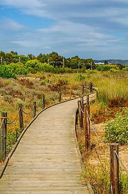포토 JPG 해외이미지 모래 바다 여행 백그라운드 자연 하늘 휴가 사람없음 목재 울타리 모래사장 햇빛 태양 걷기 맑음 산책로 수확 뜨거움 스페인 보호 널 오솔길 모래언덕 입장 통로 휴양지 보호구역 이국적 파라다이스 해외포토 자연요소 나무 유럽 길 컨셉 농업 재료 모션 날씨 담장 장소 언덕 생태계 구역 파일형식 이미지허브