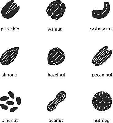EPS 해외이미지 모양 식물 디자인 실루엣 음식 컨셉 과일 일러스트 재료 그림자 요리 씨앗 세트 검은색 웹 견과류 양념 조미료 클래식 맛 떨어짐 심볼 향신료 사인 유기농 향기 아로마 땅콩 호두 배지 아몬드 향료 타입 고립 상형문자 캐슈넛 피스타치오 피칸 개암 해외일러스트 문자 웰빙 열매 컬러 인터넷 촬영기법 냄새 향미료 파일형식 벡터 이미지허브