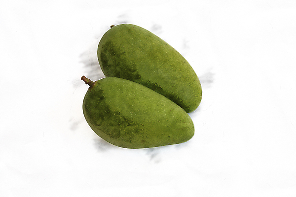 포토 JPG 해외이미지 식물 손 음식 조각 백그라운드 잎 다이어트 과일 일러스트 재료 자연 디저트 건강 미술 씨앗 사람없음 빨간색 초록색 세트 노란색 흰색 신선 달콤 떨어짐 자르기 오브젝트 싱글 그림 유기농 슬라이스 망고 내추럴 고립 숙성 이국적 채식주의자 맛있는 해외일러스트 웰빙 컬러 컨셉 모션 문화예술 신체부위 맛 열대과일 생태계 채식 파일형식 이미지허브