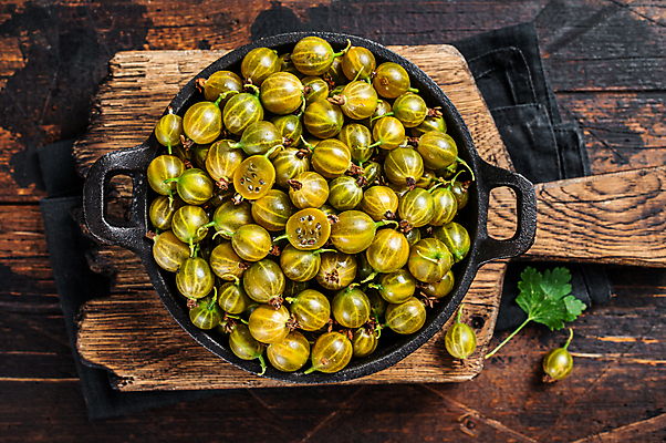 포토 JPG 해외이미지 잎 사람없음 초록색 하이앵글 가득함 담기 구스베리 나무도마 해외포토 식물 열매 뷰포인트 컬러 모션 도마 목재 파일형식 이미지허브