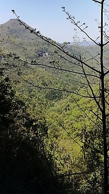 포토 JPG 해외이미지 산 풍경 사람없음 안개 언덕 드럼 내추럴 절정 해외포토 날씨 타악기 파일형식 이미지허브