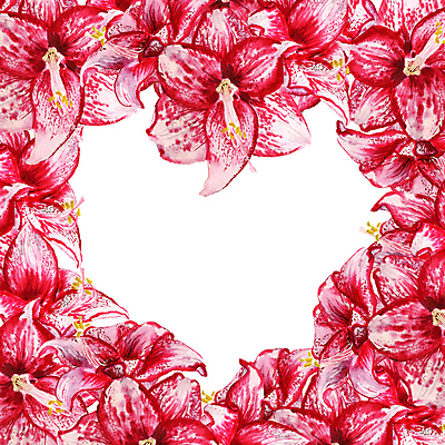 포토 JPG 해외이미지 모양 식물 꽃 화초 분홍색 꽃다발 백그라운드 꽃무늬 일러스트 자연 프레임 사람없음 빨간색 컬러풀 뷰티 정원 수확 벚꽃 흰색 축하 인사 신용카드 그림 내추럴 고립 이국적 해외일러스트 컬러 컨셉 무늬 농업 금융 예절 생태계 파일형식 이미지허브