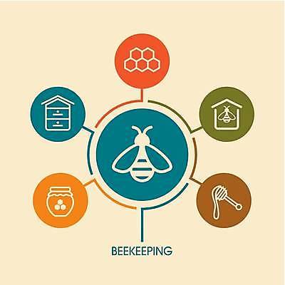 EPS 해외이미지 일러스트 비즈니스 사람없음 인포그래픽 정보 꿀 벌집 꿀단지 양봉 양봉업 양봉장 허니디퍼 목차 허니콤 해외일러스트 모양 도구 파일형식 벡터 이미지허브