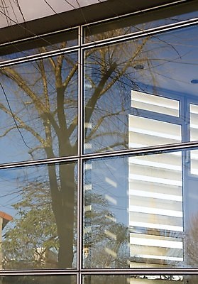 포토 JPG 해외이미지 나무 창문 유리 지붕 주택 사람없음 건물 빛 반사 투명 해외포토 식물 건축물 재질 파일형식 이미지허브