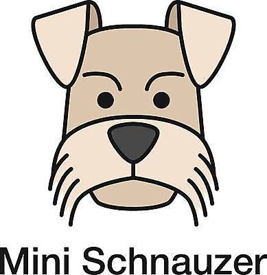 EPS 해외이미지 클립아트 동물 디자인 얼굴 컨셉 일러스트 포유류 자연 반려동물 픽토그램 머리 웹 미니어처 개 강아지 작음 만화 테리어 가득함 심볼 그림 주둥이 수의사 송곳니 고립 기르기 미니 유래 스타일 해외일러스트 인터넷 신체부위 모형 의사 치아 크기 생태계 돌봄 파일형식 벡터 이미지허브