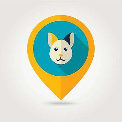 EPS 해외이미지 한마리 일러스트 사람없음 농장 고양이 원형 위치 해외일러스트 도형 1 농업 포유류 반려동물 파일형식 벡터 이미지허브