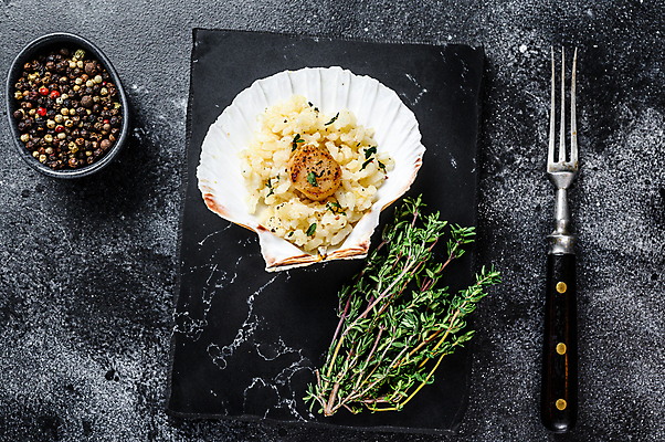 포토 JPG 해외이미지 포크 검은배경 실내 사람없음 해물요리 해산물 가리비 관자 리조또 백리향 석판 통후추 해외포토 식기 음식 백그라운드 조개 내부 검은색 후추 파일형식 이미지허브