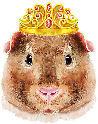 포토 JPG 해외이미지 캐릭터 일러스트 왕관 수채화 미술 사람없음 반려동물 보석 기니피그 해외일러스트 동물 포유류 문화예술 광석 파일형식 이미지허브
