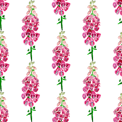 포토 JPG 해외이미지 식물 디자인 꽃잎 꽃 줄기 분홍색 백그라운드 잎 패턴 일러스트 자연 미술 사람없음 장식 세로 초록색 뷰티 머리 정원 보라색 페인트 벚꽃 흰색 가득함 타일 오브젝트 질감 고립 엘리먼트 포장소품 반복 해외일러스트 컬러 무늬 포장 문화예술 신체부위 생태계 포장재료 파일형식 이미지허브