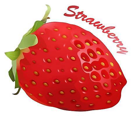 EPS 해외이미지 클립아트 일러스트 딸기 사람없음 빨간색 오브젝트 해외일러스트 컬러 과일 파일형식 벡터 이미지허브