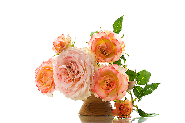 포토 JPG 해외이미지 분홍색 백그라운드 사랑 사람없음 장미 꽃병 감사 해외포토 꽃 감정 컬러 파일형식 이미지허브