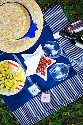 포토 JPG 해외이미지 주간 그릇 와인잔 방울토마토 술병 잔디 사람없음 야외 하이앵글 소풍 돗자리 밀짚모자 해외포토 자연요소 식물 모자_잡화 식기 뷰포인트 토마토 술잔 병_용기 주류 야외활동 파일형식 이미지허브