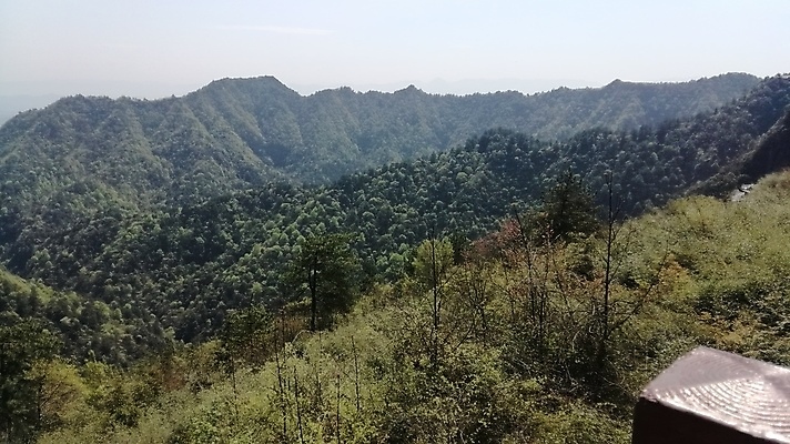 포토 JPG 해외이미지 식물 꽃 잎 꽃무늬 봄꽃 자연 사람없음 야외 빨간색 초록색 컬러풀 장미 보케 향 해외포토 컬러 무늬 봄 생태계 파일형식 이미지허브