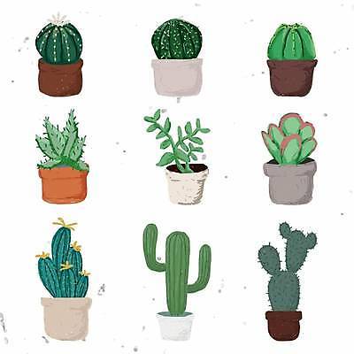 EPS 해외이미지 식물 화분 잎 일러스트 선인장 사람없음 세트 다양 수집 손그림 선인장화분 엘리먼트 해외일러스트 다수 파일형식 벡터 이미지허브
