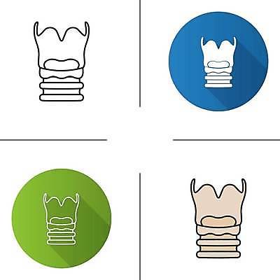 EPS 해외이미지 클립아트 디자인 선 과학 컨셉 신체 일러스트 부분 해부 건강 미술 사람 내부 세트 상자 약 웹 오르간 호흡기관 플랫 가득함 심볼 사인 그림 생물학 윤곽 시스템 목소리 고립 돌봄 바이오 상형문자 얇은 연골 해외일러스트 문자 교육 인터넷 의학 모션 문화예술 건반악기 장기 파일형식 벡터 악기 건반 음악 이미지허브