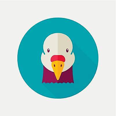 EPS 해외이미지 한마리 일러스트 사람없음 농장 원형 비둘기 해외일러스트 도형 1 농업 조류 파일형식 벡터 이미지허브