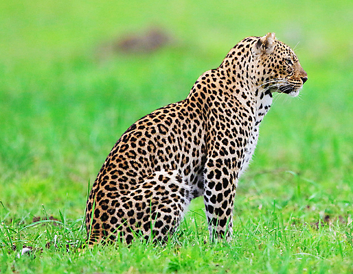 포토 JPG 해외이미지 여행 사람없음 여행객 해외포토 사람 파일형식 이미지허브