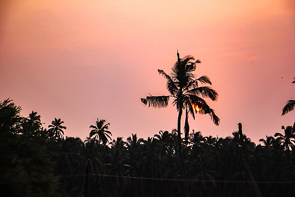 포토 JPG 해외이미지 공원 파도 여행 백그라운드 오렌지 자연 벽지 하늘 아침 날씨 휴가 산 파노라마 사람없음 야외 빨간색 물 빛 세트 태양 뷰티 반사 일출 맑음 보라색 일몰 낭만 광선 황금 저녁 순수 열정 장면 태평양 천국 수평선 해외포토 주간 자연요소 공공시설 감정 바다 컬러 컨셉 과일 촬영기법 노을 야간 생태계 파일형식 이미지허브
