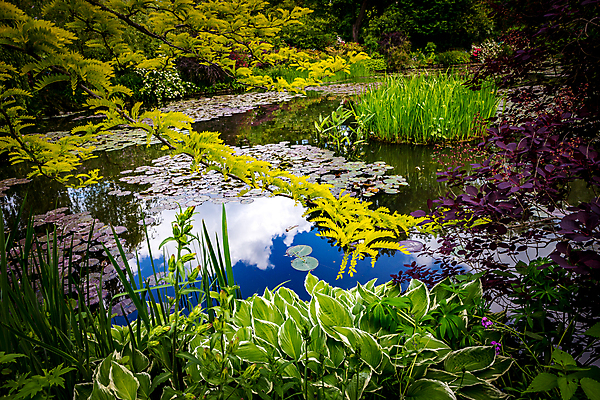 포토 JPG 해외이미지 나무 식물 꽃 호수 사람없음 초록색 물 정원 연못 해외포토 자연요소 컬러 파일형식 이미지허브