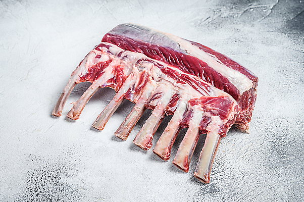 포토 JPG 해외이미지 식재료 실내 생고기 사람없음 흰배경 날것 양고기 양갈비 해외포토 백그라운드 육류 내부 흰색 파일형식 이미지허브