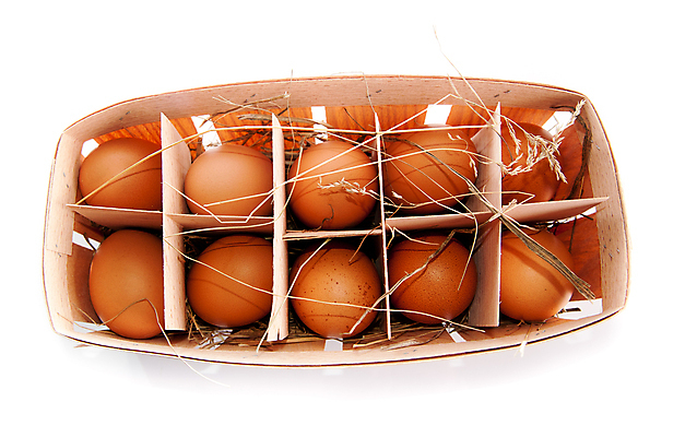 포토 JPG 해외이미지 실내 사람없음 계란 볏짚 나무상자 흰배경 담기 해외포토 백그라운드 모션 내부 상자 알 흰색 짚 파일형식 이미지허브