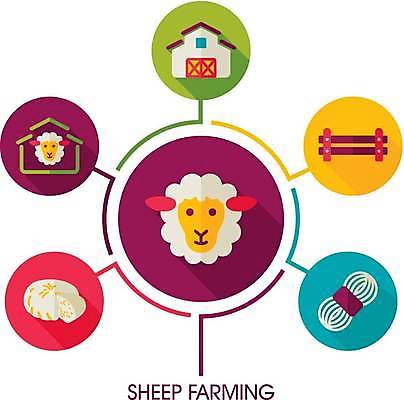 EPS 해외이미지 두마리 일러스트 치즈 사람없음 울타리 농장 양 원형 털실 외양간 양젖 양털 해외일러스트 도형 2 농업 포유류 유제품 담장 실 파일형식 벡터 이미지허브