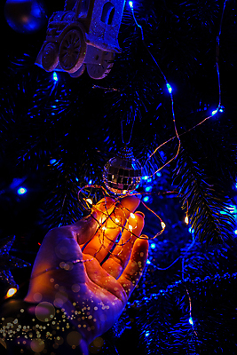 포토 JPG 해외이미지 나무 라이프스타일 손 계절 여자 컨셉 크리스마스 겨울 추상 휴가 새로움 기념 사람 이벤트 사람없음 장식 빛 축제 화환 어둠 희망 축하 잡기 야간 12월 연도 보케 소원 마법 빛망울 주도 해외포토 자연요소 식물 기념일 꽃 감정 무늬 모션 생활 신체부위 예절 날짜 파일형식 이미지허브