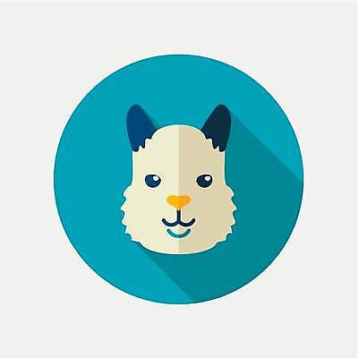 EPS 해외이미지 한마리 일러스트 사람없음 농장 원형 라마 해외일러스트 도형 1 농업 파일형식 벡터 이미지허브