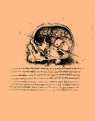 포토 JPG 해외이미지 남자 종이 백그라운드 밭 신체 건축양식 해부 미술 사람 사람없음 금속 이탈리아 원형 클래식 닫기 심볼 묘사 그림 질감 생물학 정사각형 깊이 옛날 회복 해외포토 도형 교육 건축 유럽 컨셉 농업 의학 모션 재질 문화예술 파일형식 이미지허브