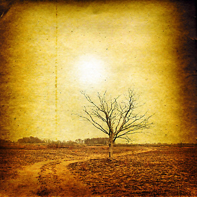 포토 JPG 해외이미지 종이 도로 백그라운드 밭 표면 날씨 추상 프레임 사람없음 책 갈색 노란색 우주 쪽지 공백 손상 수확 덮개 점 거친 주름 황폐 질감 문서 복고 심플 캔버스 페이지 스크래치 찢어짐 나쁜 구김 구식 그런지 세피아 양피지 옛날 원고 파피루스 노화 스타일 해외포토 식물 길 컬러 컨셉 무늬 농업 교통시설 모션 촬영기법 뚜껑 파일형식 이미지허브