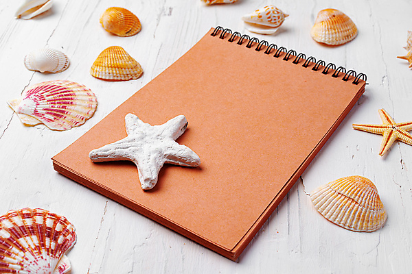 포토 JPG 해외이미지 불가사리 사람없음 조개껍데기 소라 스프링노트 나무탁자 카피스페이스 해외포토 탁자 조개 어패류 극피동물 공책 공백 파일형식 이미지허브