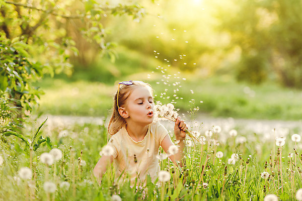 포토 JPG 해외이미지 라이프스타일 응시 공원 여자 어린이 자연 놀이 한명 소녀 상반신 야외 앞모습 아웃포커스 금발 선글라스 정원 잡기 숲 불기 민들레홀씨 소녀한명만 해외포토 1 헤어스타일 시선 공공시설 안경 뷰포인트 모션 촬영기법 사람 생활 민들레 생태계 여자한명만 소녀만 파일형식 이미지허브