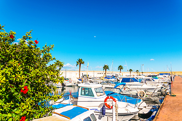 포토 JPG 해외이미지 유럽 스포츠 바다 여행 요트 사다리 교통시설 하늘 휴가 새로움 항해 사람없음 야외 물 여름 힘 운전 에너지 덮개 흰색 바퀴 보트 사발 스페인 고급 보호 포트 엔진 트레일러 모터 유지 파라다이스 해외포토 자연요소 계절 나라 컬러 교통 컨셉 배_교통 모션 뚜껑 도구 사기그릇 시설 파일형식 이미지허브