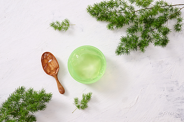 포토 JPG 해외이미지 나뭇잎 실내 사람없음 하이앵글 숟가락 화장품 나뭇가지 흰배경 알로에 에스테틱 알로에젤 해외포토 나무 식물 뷰포인트 백그라운드 잎 수저 내부 뷰티 흰색 젤 파일형식 이미지허브