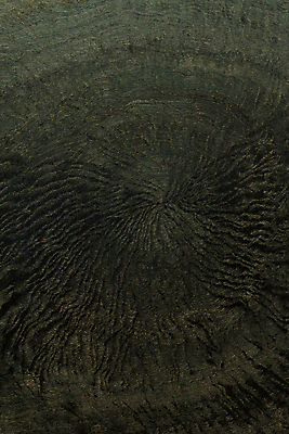 포토 JPG 해외이미지 디자인 벽 백그라운드 패턴 건축양식 벽지 표면 추상 바닥 사람없음 장식 금속 어둠 수확 골동품 시골 도시 거친 우아함 닫기 천 질감 짜임 수공예 그런지 스타일 카피스페이스 반복 디테일 해외포토 건축 컨셉 무늬 농업 모션 재질 공백 직물 공예 파일형식 이미지허브