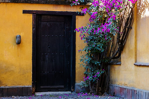 포토 JPG 해외이미지 주간 나무 디자인 꽃 벽 여행 잎 건축양식 난간 거리 멕시코 주택 사람없음 야외 건물 햇빛 문 보라색 발코니 바위 도시 재산 도심 라틴아메리카 타운 히스패닉 이웃 옛날 해외포토 자연요소 식물 건축물 건축 컬러 북아메리카 아메리카 금융 태양 돌_바위 파일형식 이미지허브
