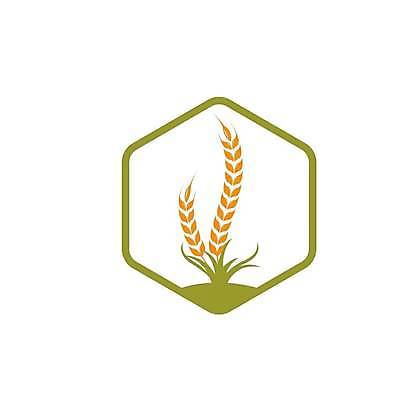 EPS 해외이미지 디자인 농업 일러스트 사람없음 연두색 농장 노란색 라벨 심볼 유기농 해외일러스트 웰빙 산업 컬러 프레임 초록색 파일형식 벡터 이미지허브