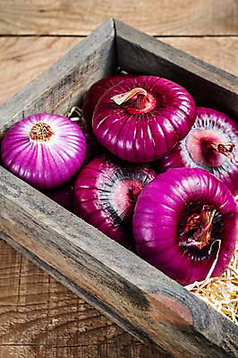 포토 JPG 해외이미지 식물 음식 백그라운드 채소 재료 전구 양파 건강 요리 사람없음 목재 빨간색 쌓기 보라색 검은색 흰색 신선 플랫 달콤 자르기 다발 피부 향신료 유기농 반쪽 날것 슬라이스 뿌리 광택 흙더미 내추럴 숙성 채식주의자 비건 해외포토 나무 웰빙 컬러 모션 신체부위 흙 맛 채식 향미료 파일형식 더미 이미지허브