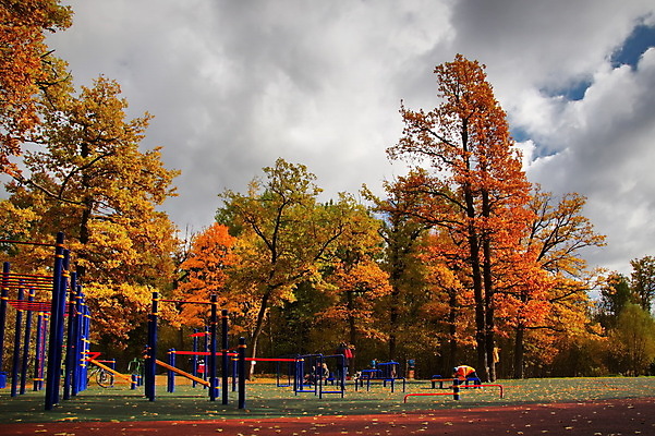 포토 JPG 해외이미지 어린이 스포츠 올림픽 밭 사람없음 경쟁 경기장 속도 흥분 체육관 근육질 극복 곤란 승자 안뜰 해외포토 감정 컨셉 농업 스포츠시설 근육 사람 몸매 파일형식 이미지허브