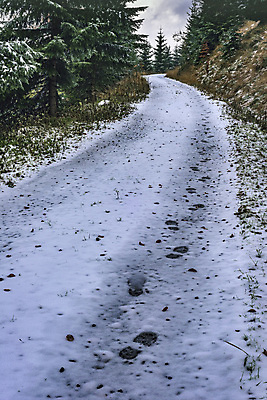 포토 JPG 해외이미지 나무 라이프스타일 계절 도로 길 호수 여행 십자가 겨울 패턴 자국 발 자연 날씨 산 사람 풍경 사람없음 야외 목재 빛 환경 냉동 얼음 추위 흰색 시골 신선 숲 시원함 오솔길 질감 서리 단계 내추럴 추적 루트 방법 선로 양발 자취 해외포토 자연요소 식물 컬러 무늬 재료 교통시설 모션 생활 신체부위 생태계 파일형식 이미지허브