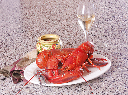 포토 JPG 해외이미지 그릇 접시 실내 집게 사람없음 해물요리 바닷가재 화이트와인 천 해산물 대리석 랍스터찜 해외포토 식기 음식 재료 내부 와인 직물 가재 파일형식 이미지허브