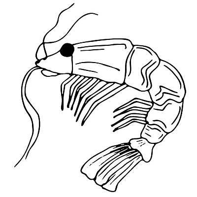 EPS 해외이미지 디자인 계절 바다 여행 백그라운드 일러스트 공 자연 휴가 휴식 불가사리 그래픽 세트 선글라스 태양 파티 여행객 수영 껍질 칵테일 낙서 인쇄 수집 심볼 오브젝트 휴양지 손그림 고립 엘리먼트 이국적 파라다이스 해외일러스트 자연요소 안경 컨셉 극피동물 주류 사람 이벤트 장소 수상스포츠 생태계 파일형식 벡터 이미지허브