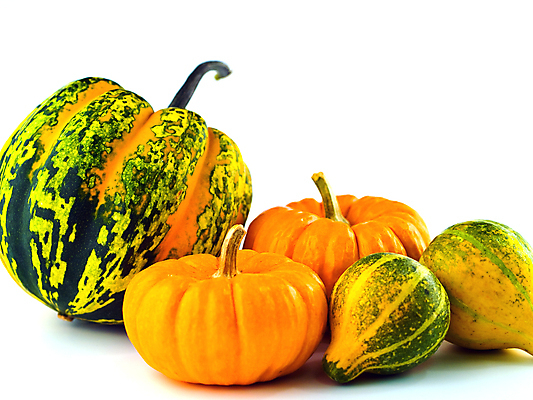 포토 JPG 해외이미지 식물 계절 음식 줄기 조각 백그라운드 농업 다이어트 채소 오렌지 호박 휴가 디저트 건강 요리 사람없음 장식 농장 축제 할로윈 수확 가을 흰색 시장 굽기 먹기 향신료 박 추수감사절 스쿼시 고립 미니 맛있는 해외포토 산업 기독교 스포츠 컬러 과일 모션 구기 구이 향미료 파일형식 이미지허브