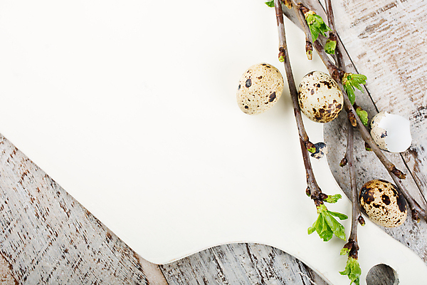 포토 JPG 해외이미지 나무 전통 디자인 계절 꽃 행복 음식 백그라운드 컨셉 잎 패턴 다이어트 재료 휴가 부활절 프레임 건강 요리 이벤트 사람없음 목재 장식 초록색 컬러풀 갈색 계란 봄 흰색 나뭇가지 시골 축하 신선 신용카드 우아함 상품 4월 버드나무 심볼 유기농 질감 날것 내추럴 메추리 정물화 카피스페이스 해외포토 식물 웰빙 기념일 감정 컬러 무늬 금융 알 공백 날짜 그림 파일형식 이미지허브